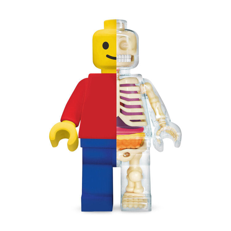Brick Man Anatomical Lego Giant Figure 1/2 - JASON FREENY