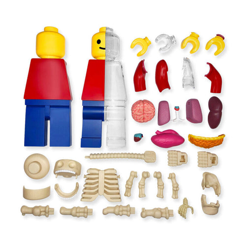 Brick Man Anatomical Lego Giant Figure 1/2 - JASON FREENY