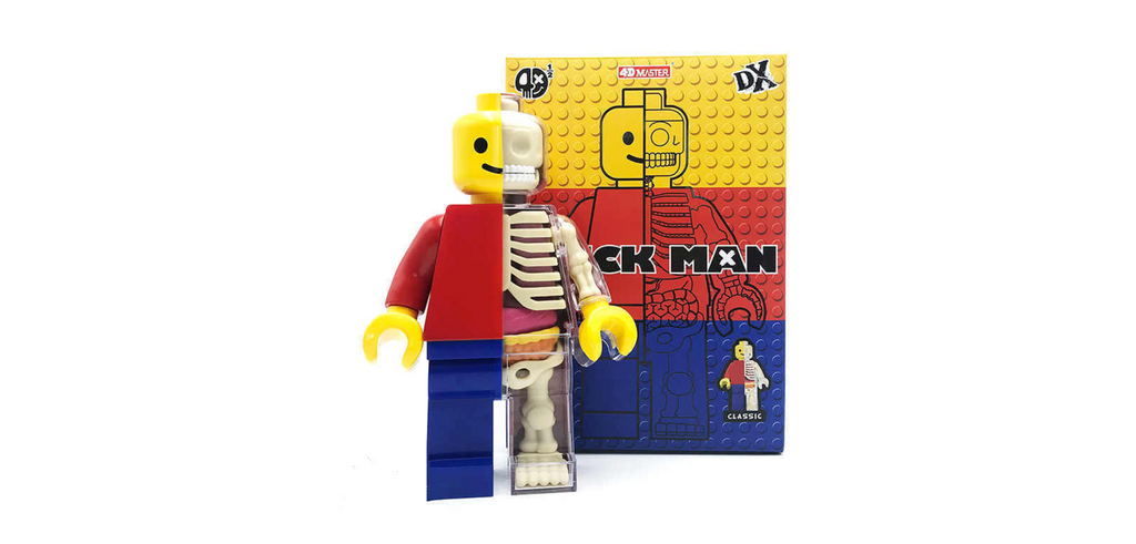 Brick Man Anatomical Lego Giant Figure 1/2 - JASON FREENY