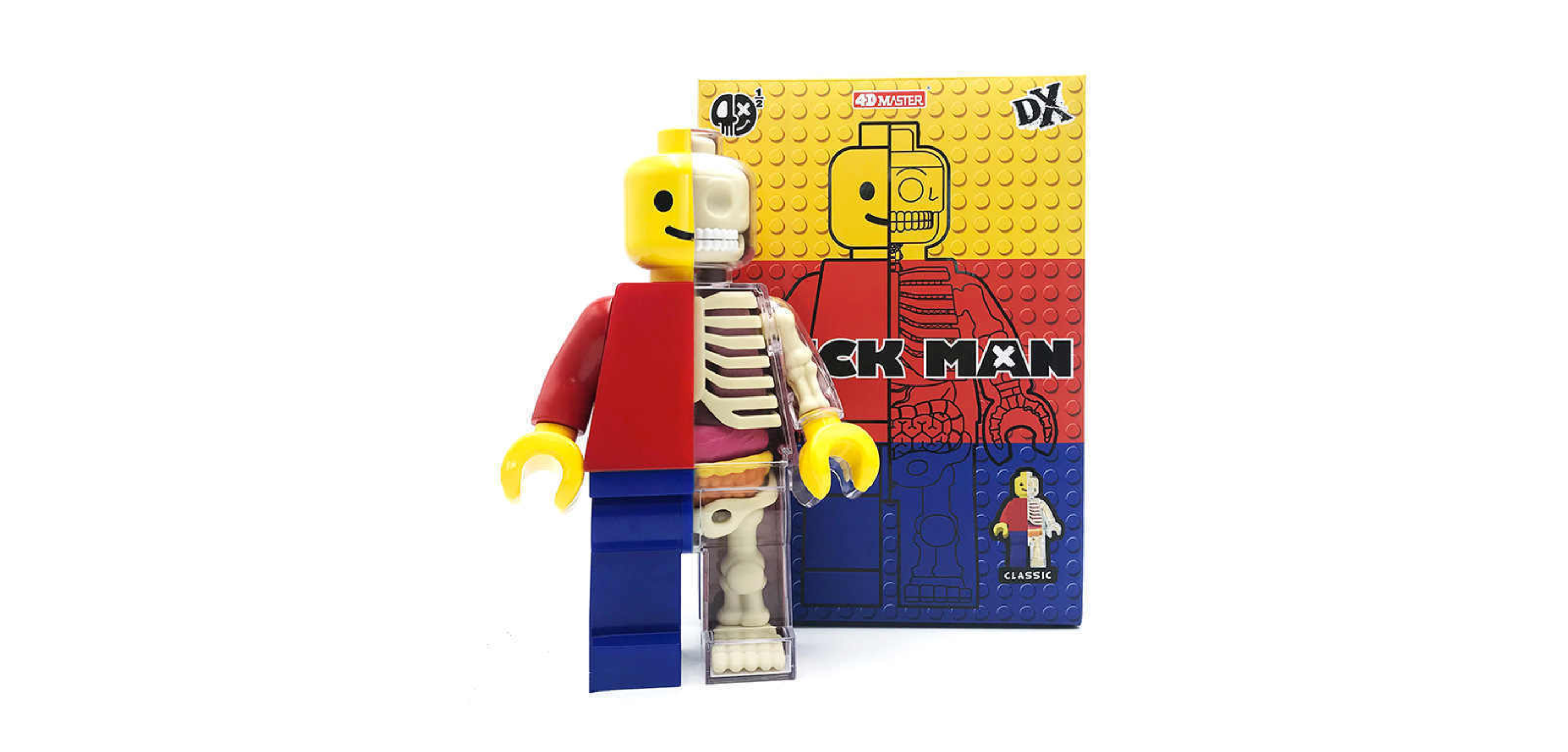 Brick Man Anatomical Lego Giant Figure 1/2 - JASON FREENY