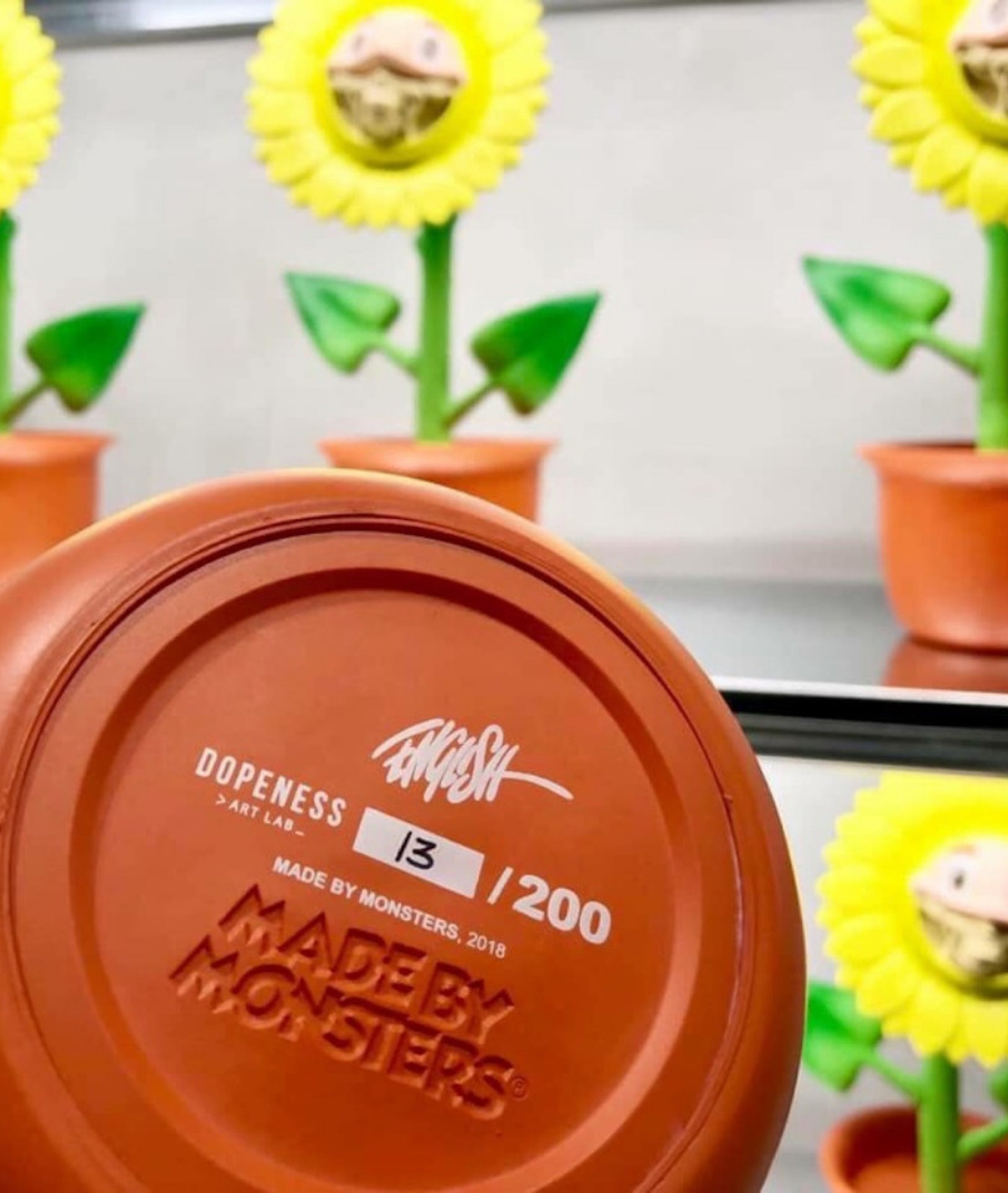 Growing Grin Telegrinnie Sunflower - RON ENGLISH